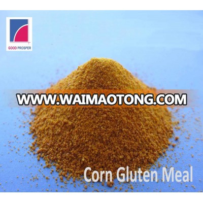 best price corn gluten meal 60% protein